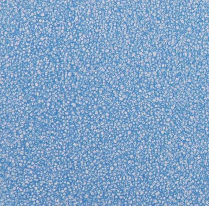 coral-0750mm.jpg
