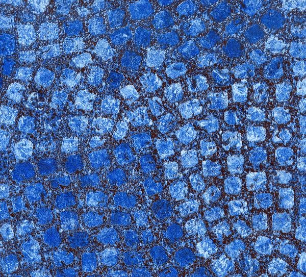 tuscany-blue1.jpg
